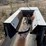 #3545-•-28'-conveyor-image-15