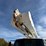 2012-altec-am55-image-41