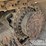 2018-caterpillar-352-image-15