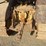 caterpillar-thirty-image-30