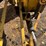 #3534-•-komatsu-gd305a-motor-grader-image-17