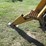 woods-1050-image-7