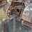 caterpillar-thirty-image-8