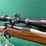 winchester-mdl.70-25-wssm-rifle-image-4