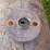 #4026-•-100-gallon-tank-image-5