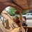 woody-redneck-tow-truck-image-27