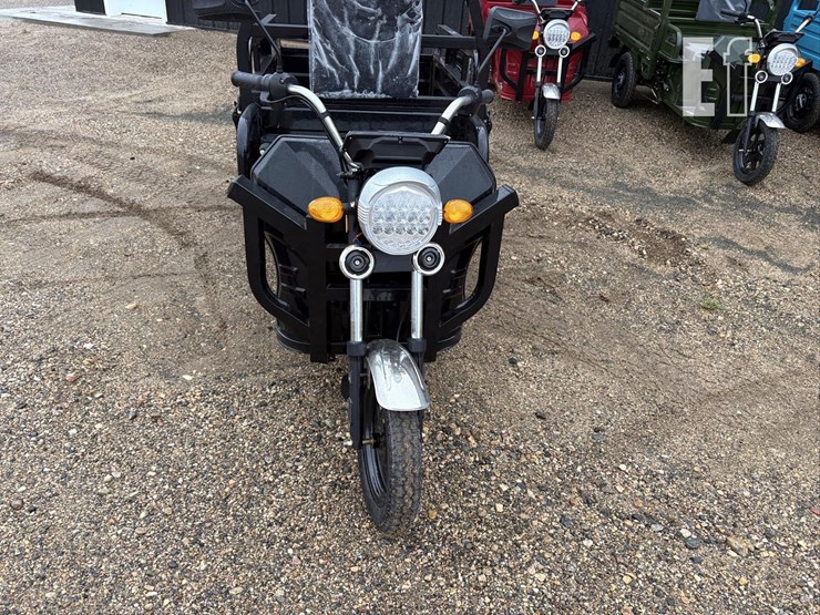 2026-iret13-electric-tricycle-#4-(black)-10094-image-2