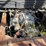 isuzu-nqr-image-45