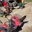 #1846-•-(2)-gas-powered-snow-blowers-for-parts-image-3