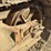 caterpillar-40-diesel-image-16
