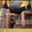 #1029-3-•-lot-1029-3-image-9