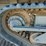 2013-terramac-rt9-image-17
