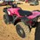 2006-honda-trx350-image-2