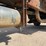 2005-kenworth-t800-image-50