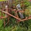 #4054-•-allis-chalmers-corn-cultivator-image-2