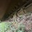 loftness-240sh-image-7