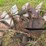 #4046-•-windmill-stand-image-17