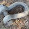 contractor’s-retirement-online-only-auction-image-5