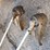 #1857-•-(4)-gas-powered-lawn-tools-image-12