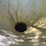 #1029-46-•-lot-1029-46-image-3