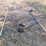 gates,-galvanized-chainlink-5pcs-w/misc-components-image-4