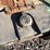 #1823-•-coleman-powermate-portable-generator-image-8