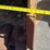#1029-87-•-lot-1029-87-image-5