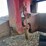 1989-fontaine-lowboy-image-19