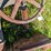 #4085-•-drill-press-image-7