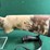 howa-mdl.1500-223-rem-rifle-image-11