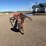 international-dump-rake-image-7