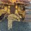 caterpillar-d2-image-33