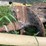#4019-•-fred-cain-agri-digger-image-6