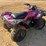 2006-honda-trx350-image-3
