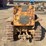 caterpillar-fifteen-image-4