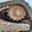2011-bobcat-t190-image-9