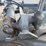 deere-672d-image-35