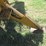 woods-1050-image-9