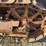 caterpillar-thirty-image-12