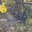 #1029-34-•-lot-1029-34-image-1