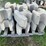 #3202-•-pallet-of-interlocking-concrete-retaining-wall-blocks-image-5