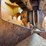 #1029-16-•-lot-1029-16-image-12