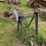 #4086-•-flat-belt-grinder-image-5