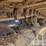 2019-caterpillar-352-image-12