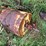 new-holland-header-parts-image-4