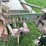 john-deere-2800-image-3
