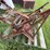#4021-•-table-buzz-saw-image-6