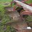 #4062-•-massey-ferguson-mow-board-plow-image-4