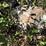 #3545-•-28'-conveyor-image-6