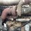 2005-mack-rb688s-image-20